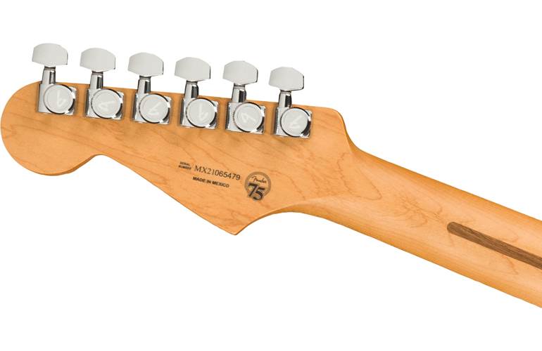 Fender Player Plus Stratocaster Opal Spark Pau Ferro Fingerboard Fender Player Plus Stratocaster Opal Spark Pau Ferro Fingerboard