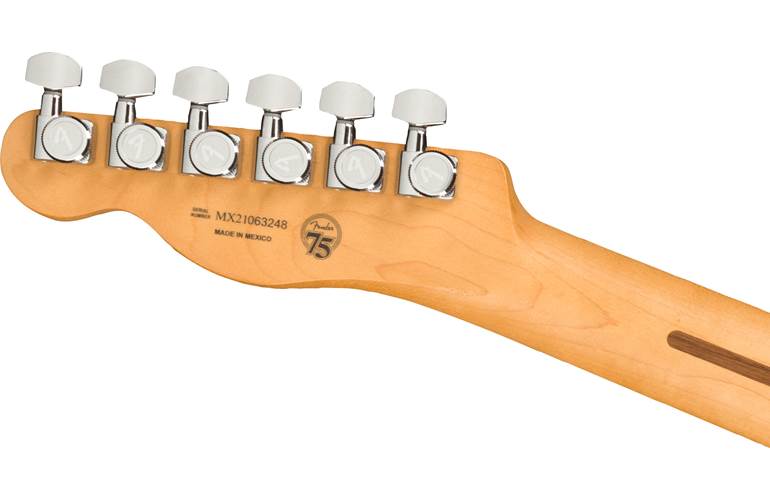 Fender Player Plus Telecaster Silver Smoke Pau Ferro Fingerboard Fender Player Plus Telecaster Silver Smoke Pau Ferro Fingerboard