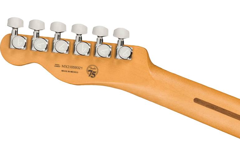 Fender Player Plus Nashville Telecaster Butterscotch Blonde Maple Fingerboard Fender Player Plus Nashville Telecaster Butterscotch Blonde Maple Fingerboard