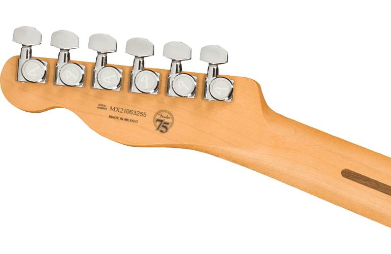 Fender Player Plus Nashville Telecaster Opal Spark Pau Ferro Fingerboard Fender Player Plus Nashville Telecaster Opal Spark Pau Ferro Fingerboard