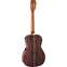 Takamine GY51E New Yorker Natural Back View