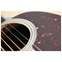 Martin Custom Shop Expert D-28 1937   Front View
