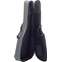TGI Extreme Acoustic Bass Guitar Gigbag Front View