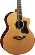 Faith Legacy Neptune Rosewood FG2NCE