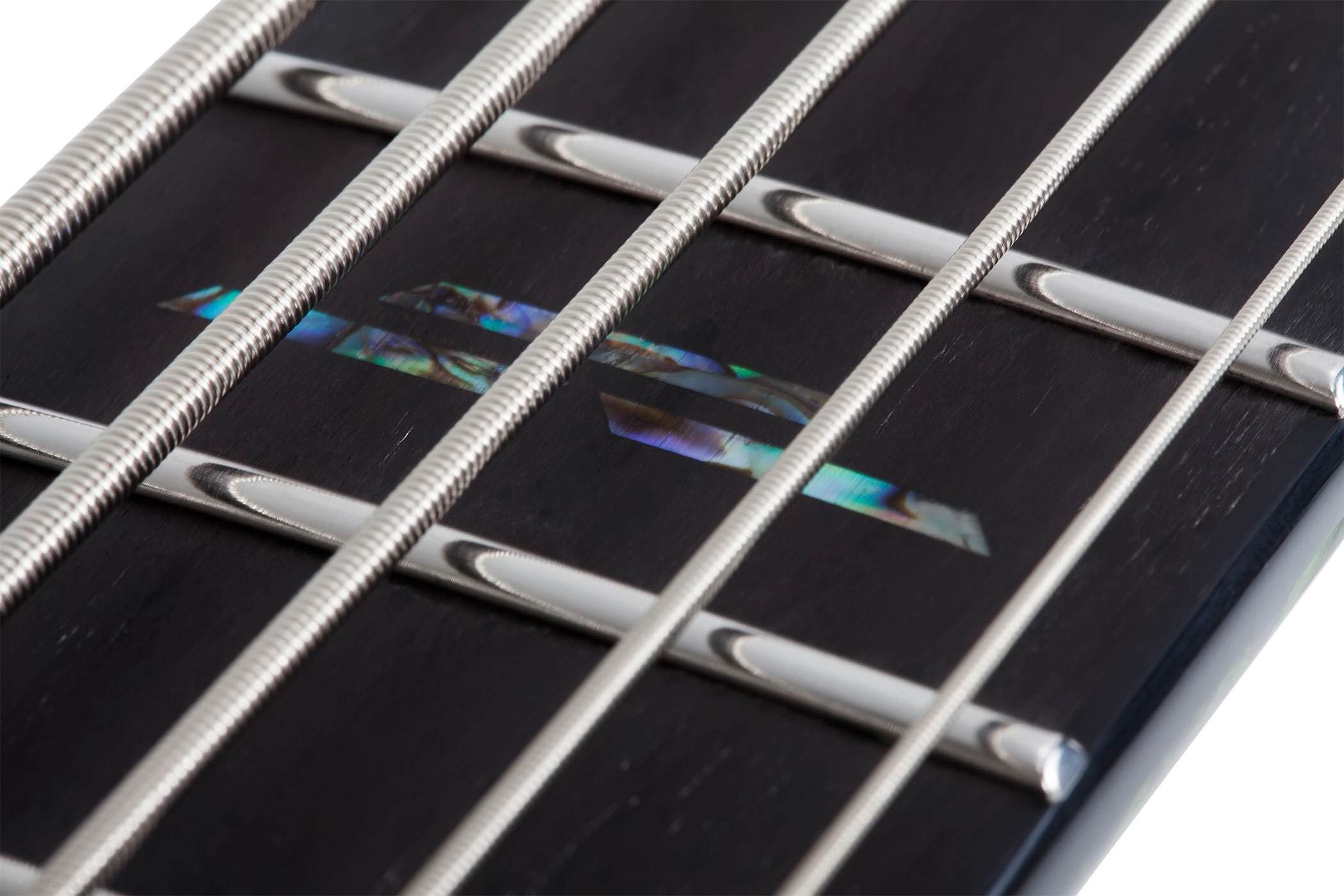 Schecter C-5 Silver Mountain Toxic Venom