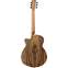 Tanglewood DBT SFCE PW Discovery Exotic Electro Pacific Walnut Back View