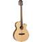 Tanglewood DBT SFCE PW Discovery Exotic Electro Pacific Walnut Front View