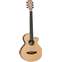 Tanglewood DBT TCE BW Discovery Travel Electro Cutaway Black Walnut Front View