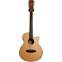 Tanglewood TW12CE Winterleaf 12 String Acoustic (Ex-Demo) #MF210529759 Front View