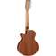 Tanglewood TW12 CE Winterleaf 12 String Acoustic Back View