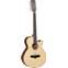 Tanglewood TW12 CE Winterleaf 12 String Acoustic Front View