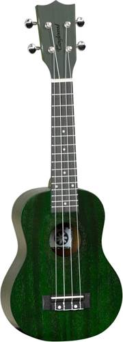 Tanglewood TWT1 FG Soprano Ukulele Forest Green Stain Satin Finish Tanglewood TWT1 FG Soprano Ukulele Forest Green Stain Satin Finish