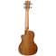 Tanglewood TWT12E Concert Ukulele Back View