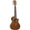 Tanglewood TWT12E Concert Ukulele Front View