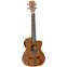 Tanglewood TWT17E Tenor Ukulele Front View