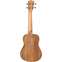Tanglewood TWT8 Concert Ukulele Back View