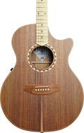 Cole Clark AN 2 EC Blackwood/Blackwood #211213320