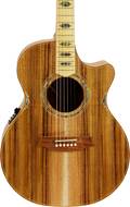 Cole Clark AN 3 EC Blackwood/Blackwood Sunburst