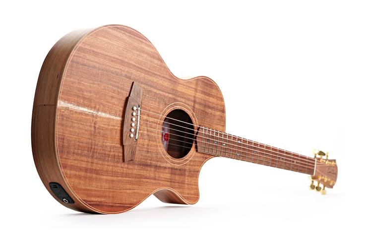 Cole Clark Thinline TL 2 EC Blackwood / Blackwood #2505-16164 Cole Clark Thinline TL 2 EC Blackwood / Blackwood #2505-16164