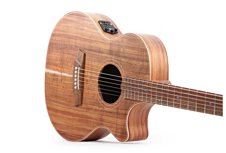 Cole Clark Thinline TL 2 EC Blackwood / Blackwood #2505-16164 Cole Clark Thinline TL 2 EC Blackwood / Blackwood #2505-16164