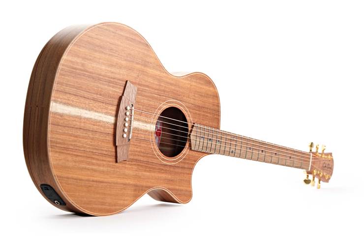 Cole Clark Thinline TL 2 EC Blackwood / Blackwood #2505-16163 Cole Clark Thinline TL 2 EC Blackwood / Blackwood #2505-16163