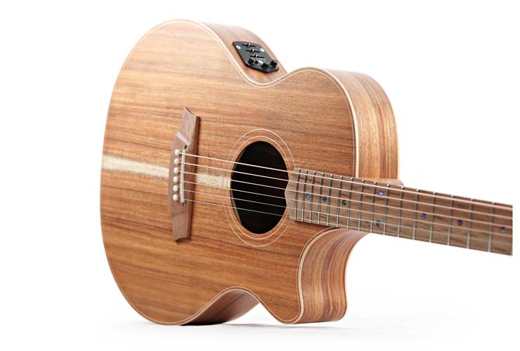 Cole Clark Thinline TL 2 EC Blackwood / Blackwood #2505-16163 Cole Clark Thinline TL 2 EC Blackwood / Blackwood #2505-16163