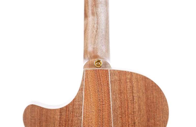 Cole Clark Thinline TL 2 EC Blackwood/Blackwood (Ex-Demo) #211012777 Cole Clark Thinline TL 2 EC Blackwood/Blackwood (Ex-Demo) #211012777