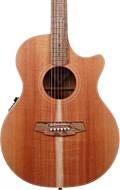 Cole Clark Thinline TL 2 EC Blackwood/Blackwood (Ex-Demo) #211012777