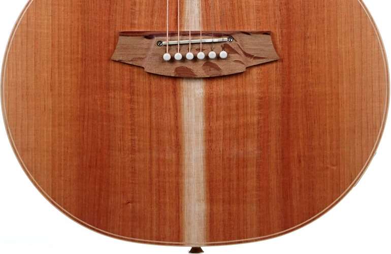 Cole Clark Thinline TL 2 EC Blackwood/Blackwood (Ex-Demo) #211012777 Cole Clark Thinline TL 2 EC Blackwood/Blackwood (Ex-Demo) #211012777