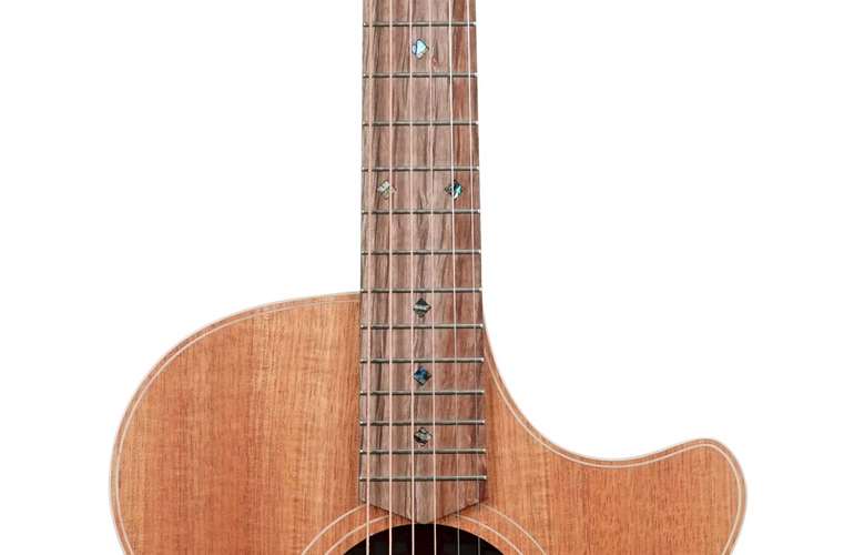 Cole Clark Thinline TL 2 EC Blackwood/Blackwood (Ex-Demo) #211012777 Cole Clark Thinline TL 2 EC Blackwood/Blackwood (Ex-Demo) #211012777