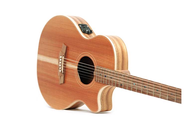 Cole Clark Thinline TL 2 EC Blackwood/Blackwood (Ex-Demo) #211012777 Cole Clark Thinline TL 2 EC Blackwood/Blackwood (Ex-Demo) #211012777