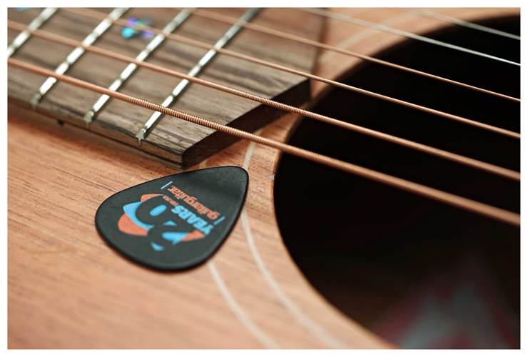 Cole Clark Thinline TL 2 EC Blackwood/Blackwood (Ex-Demo) #211012777 Cole Clark Thinline TL 2 EC Blackwood/Blackwood (Ex-Demo) #211012777