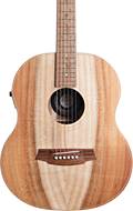 Cole Clark LL Mini 2 E Blackwood / Blackwood #2507-1552