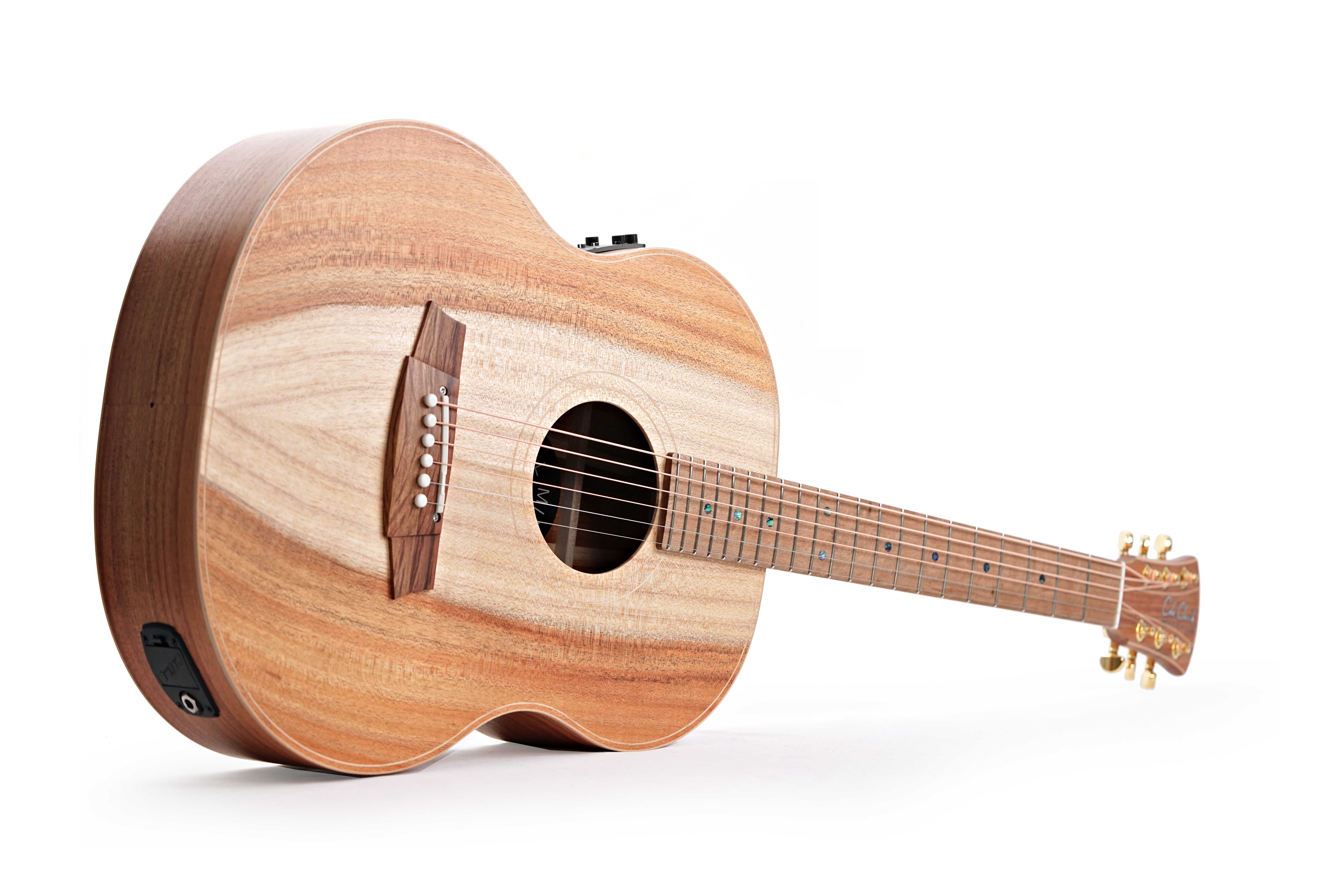 Cole Clark LL Mini 2 E Blackwood / Blackwood #2507-1552