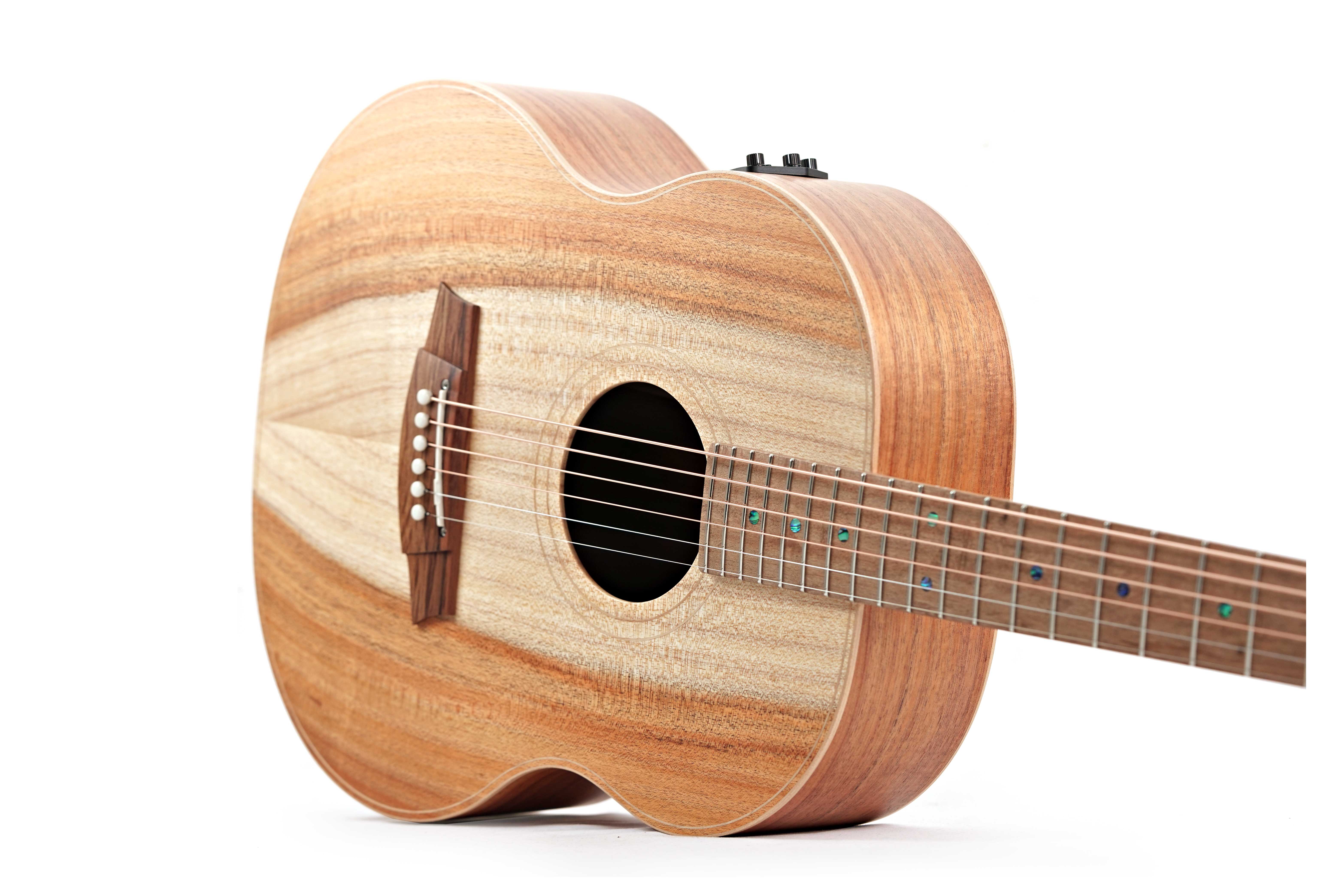 Cole Clark LL Mini 2 E Blackwood / Blackwood #2507-1552