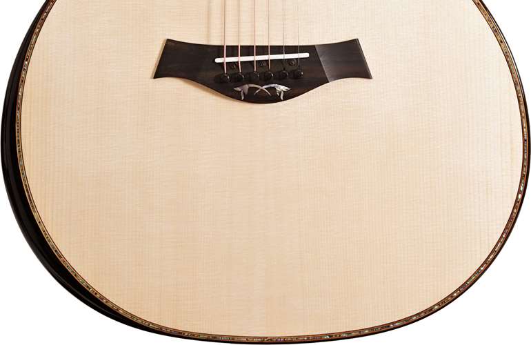 Taylor Limited Edition 914ce Grand Auditorium Lutz Spruce / Indian Rosewood #1204151128 Taylor Limited Edition 914ce Grand Auditorium Lutz Spruce / Indian Rosewood #1204151128