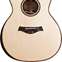 Taylor Limited Edition 914ce Grand Auditorium Lutz Spruce / Indian Rosewood #1204151128 