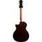 Taylor Limited Edition 914ce Grand Auditorium Lutz Spruce / Indian Rosewood Back View