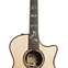 Taylor Limited Edition 914ce Grand Auditorium Lutz Spruce / Indian Rosewood 