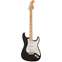 Fender Made in Japan Traditional 50s Stratocaster Black Maple Fingerboard Front View