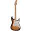 Fender Made in Japan Traditional 50s Stratocaster 2 Tone Sunburst Maple Fingerboard Front View