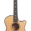 Taylor 614ce Grand Auditorium Builders Edition Natural V Class Bracing #1204012099 