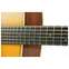 Martin Custom Shop Dreadnought Aged Adirondack Spruce/Wild Grain East Indian Rosewood #M2524758 Front View