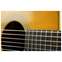Martin Custom Shop Dreadnought Aged Adirondack Spruce/Wild Grain East Indian Rosewood #M2524758 Front View