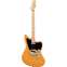 Squier Paranormal Offset Telecaster Butterscotch Blonde Maple Fingerboard Front View