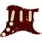 Fender Stratocaster Pre-Wired SSS 57/62 Pickguard Tortoise Shell Front View