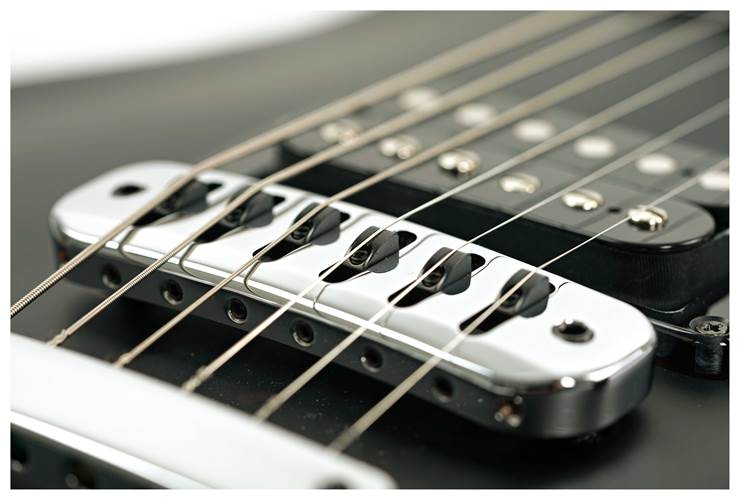 Vigier GV Rock Black Matte Rosewood Fingerboard Vigier GV Rock Black Matte Rosewood Fingerboard