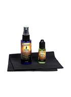 MusicNomad Premium Guitar Care Kit (3 Pack)