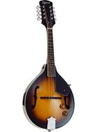 Ozark 2077 Electric Mandolin A Model