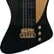 Gibson Rex Brown Thunderbird Ebony (Ex-Demo) #210120206 